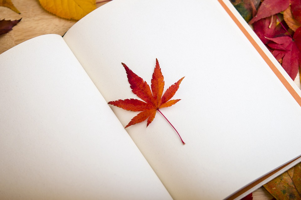 Le journal intime, un exercice thérapeutique